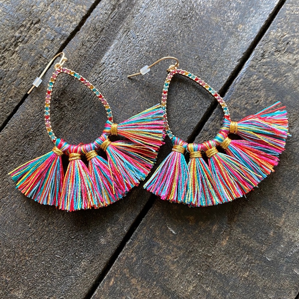 NWOT Rainbow Tassel Earrings